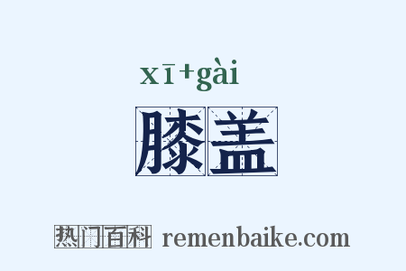膝盖是什么意思的图片